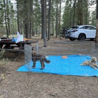 Christie Campground ico