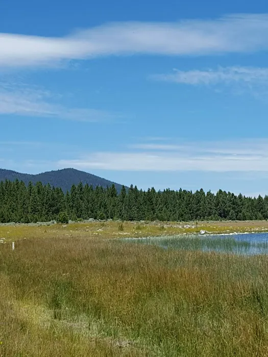 Christie Day Use Area Campground Picture 10