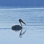 Christie Day Use Area Campground