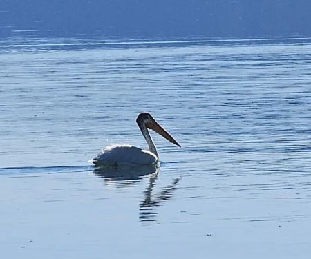 Christie Day Use Area Campground