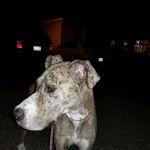 Park Meadows Mobile Home Community