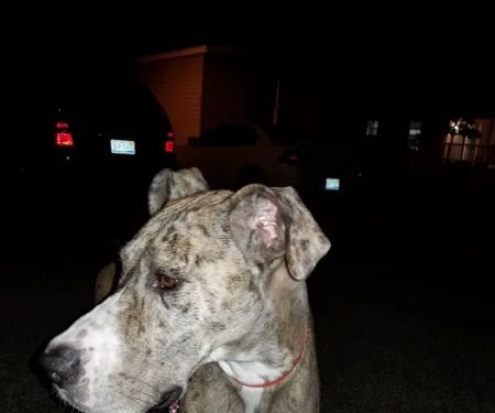 Park Meadows Mobile Home Community