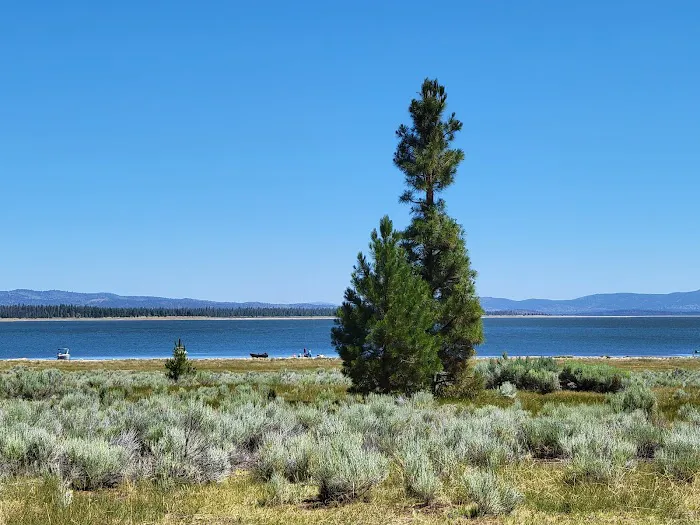 Merrill Campground Picture 6