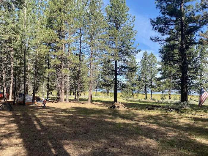 West Eagle Group Campground Picture 5