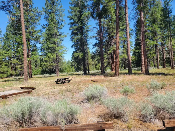 Eagle campground Picture 4