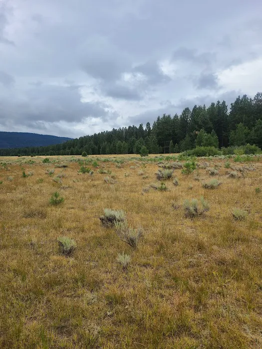 Eagle campground Picture 6