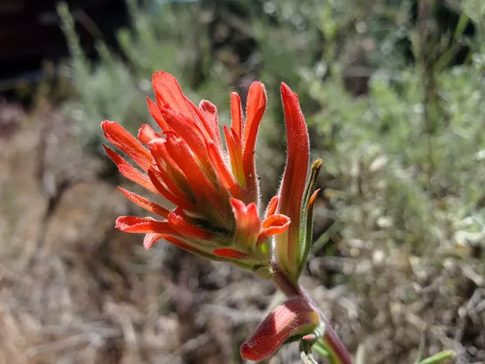 Eagle campground Picture 9