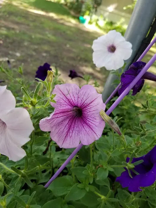 Crestview Estates Picture 3