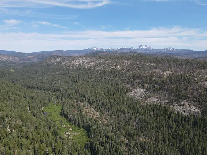 Gurnsey Creek Campground Picture 3