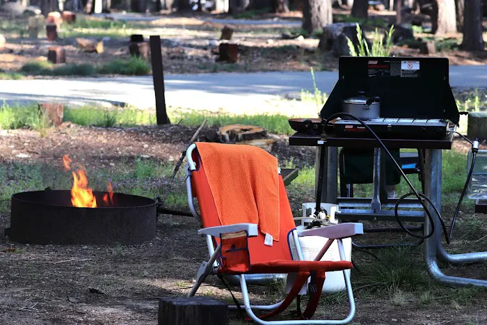 Gurnsey Creek Campground Picture 2