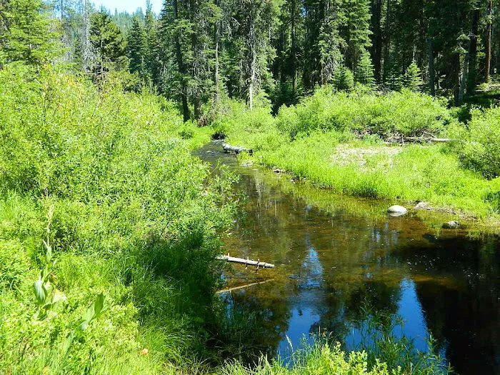 Gurnsey Creek Campground Picture 1