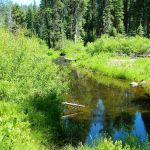 Gurnsey Creek Campground