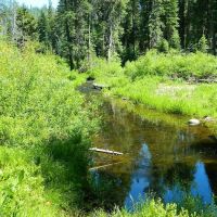 Gurnsey Creek Campground ico