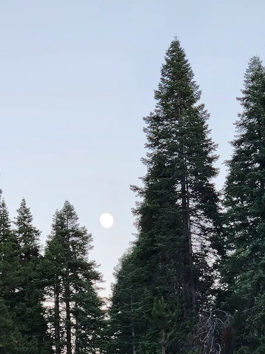 Gurnsey Creek Campground Picture 10