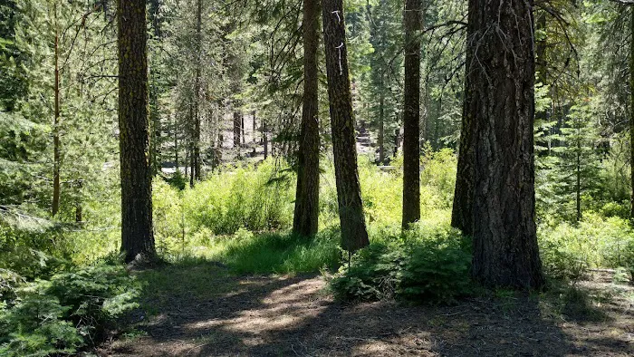 Gurnsey Creek Campground Picture 4