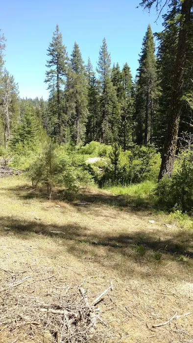 Gurnsey Creek Campground Picture 9