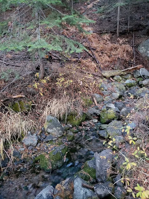Willow Spring Campground Picture 4