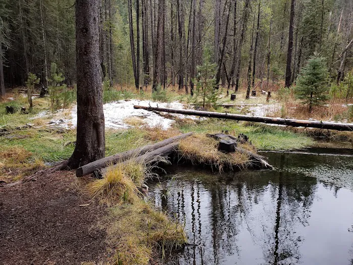 Willow Spring Campground Picture 3
