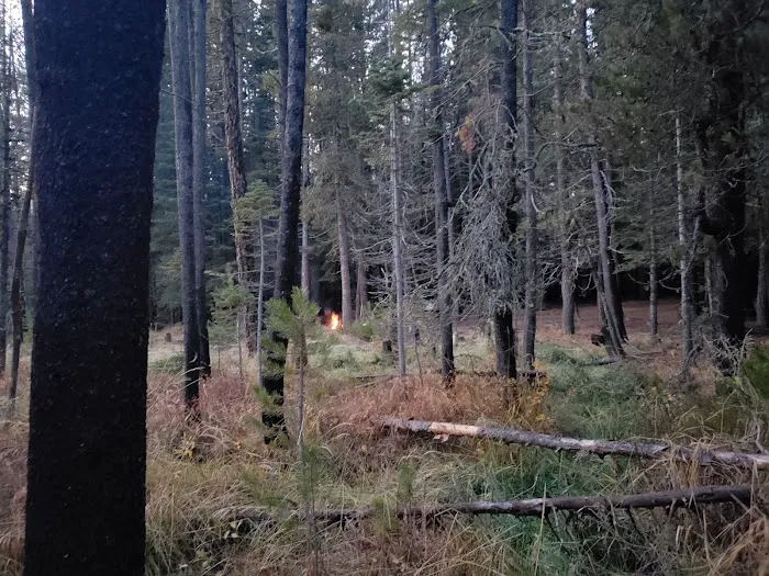 Willow Spring Campground Picture 9