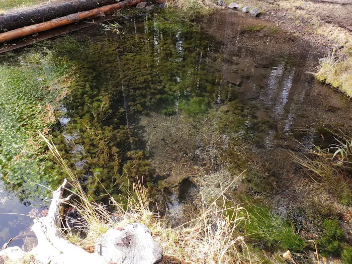 Willow Spring Campground Picture 8