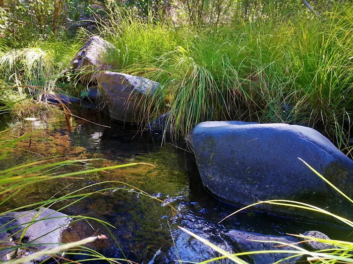 Almanor Ranger District Picture 7