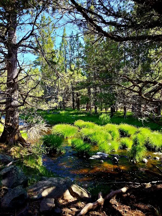 Almanor Ranger District Picture 6