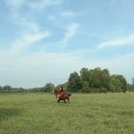 Oakview Mobile Home Estates