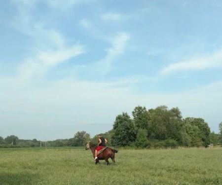 Oakview Mobile Home Estates