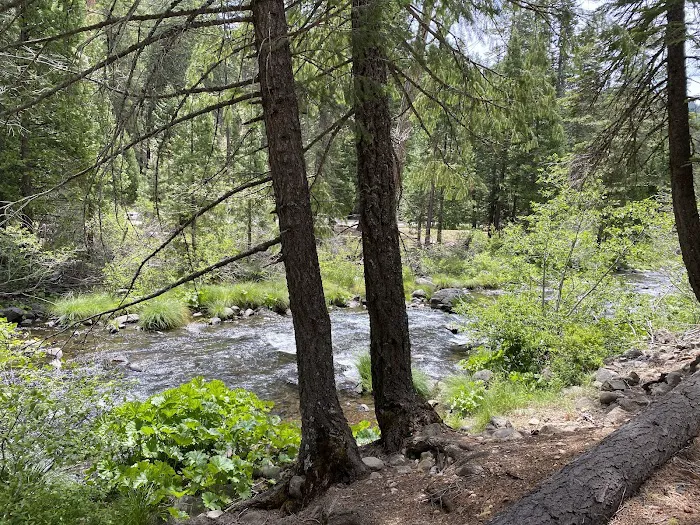 Elam Campground Picture 4