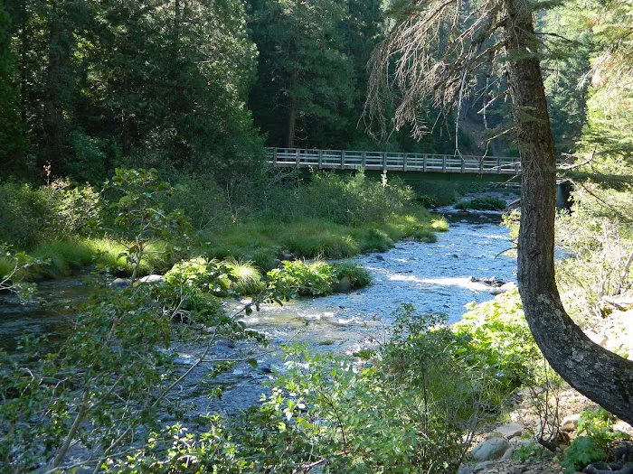Elam Campground Picture 9