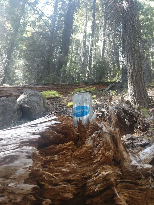 Elam Campground Picture 6