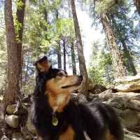 Alder Creek Campground ico
