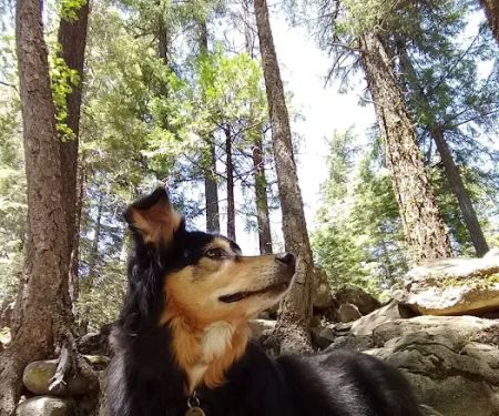 Alder Creek Campground