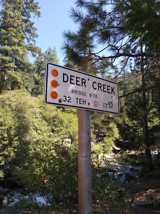 Alder Creek Campground Picture 7