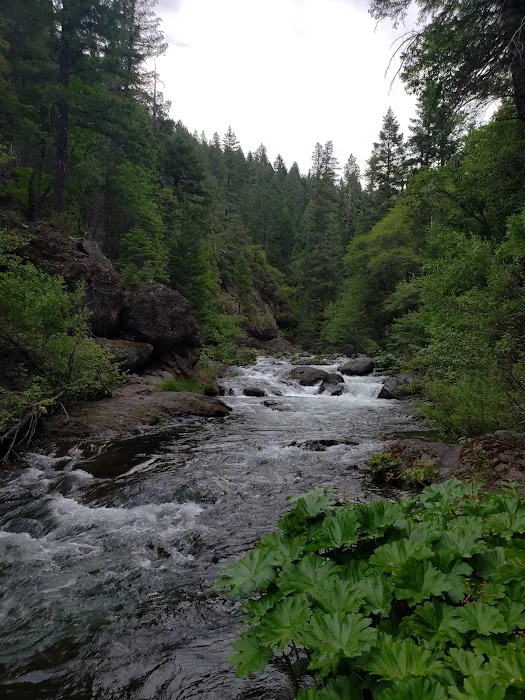 Alder Creek Campground Picture 4