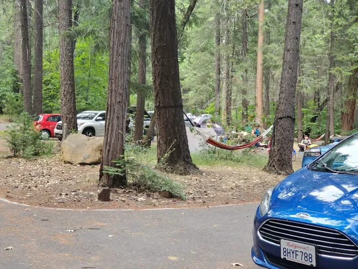 Potato Patch Campground Picture 1