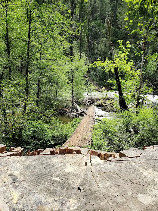 Potato Patch Campground Picture 7