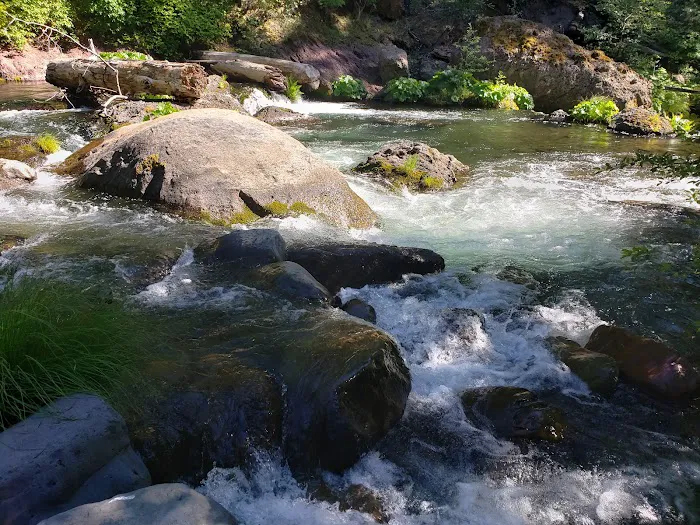Potato Patch Campground Picture 3