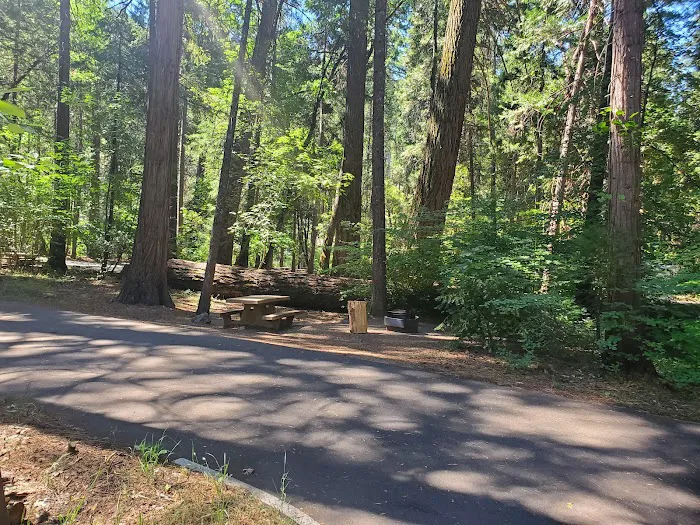 Potato Patch Campground Picture 9