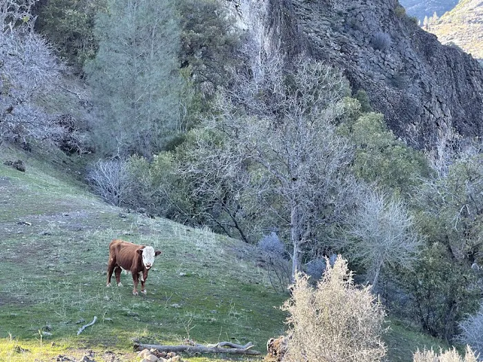Black Rock Campground Picture 2