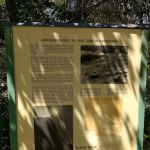 Black Rock Campground