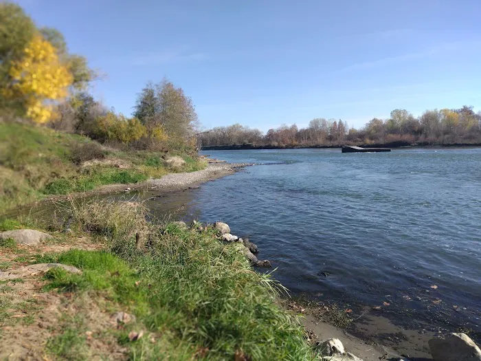 Sycamore Grove Campground Picture 4