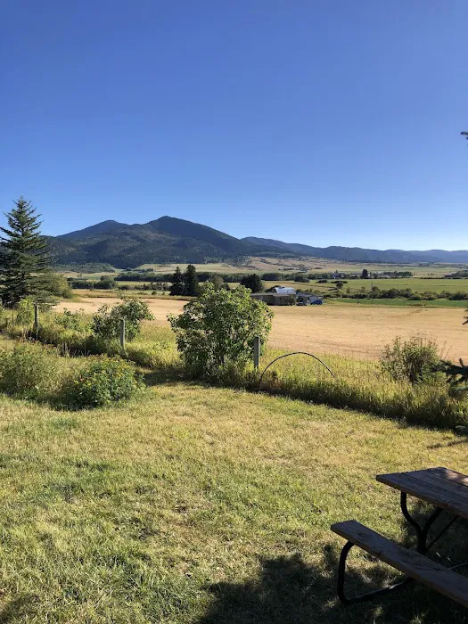 Bear Canyon Campground Picture 3