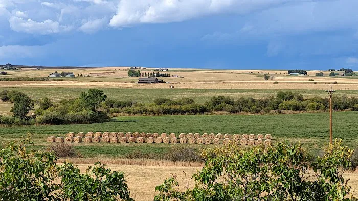 Bear Canyon Campground Picture 1