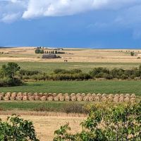 Bear Canyon Campground ico