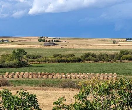 Bear Canyon Campground