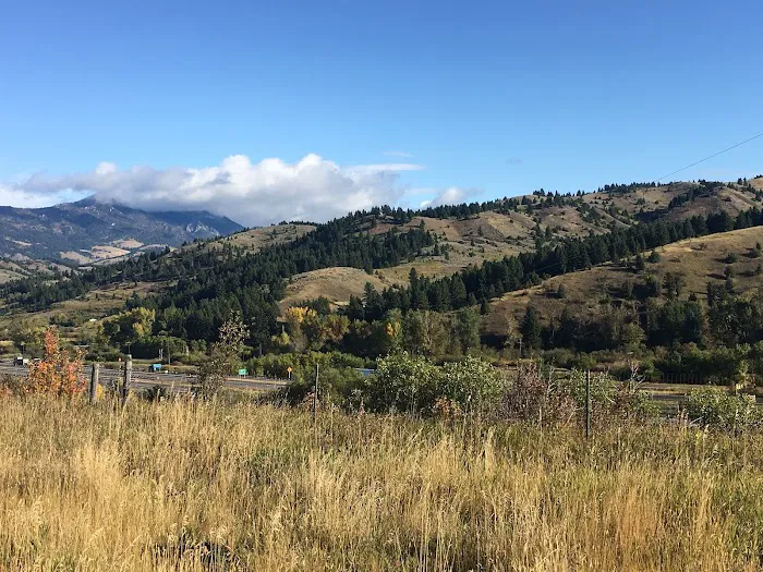 Bear Canyon Campground Picture 9