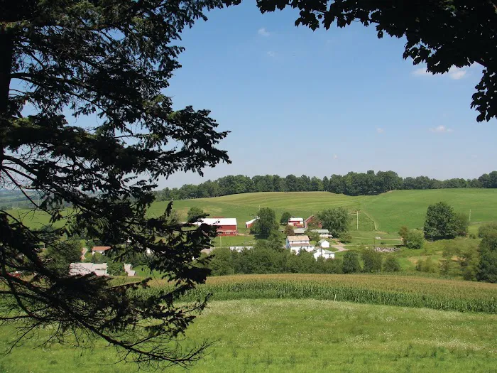 Scotsdale Estates Picture 5