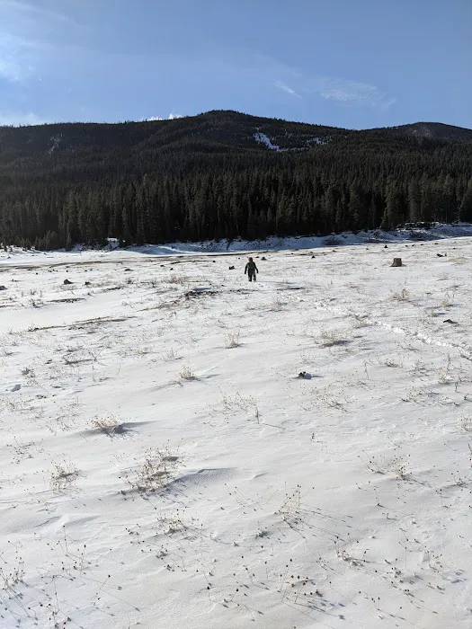 Chisholm Campground Picture 4