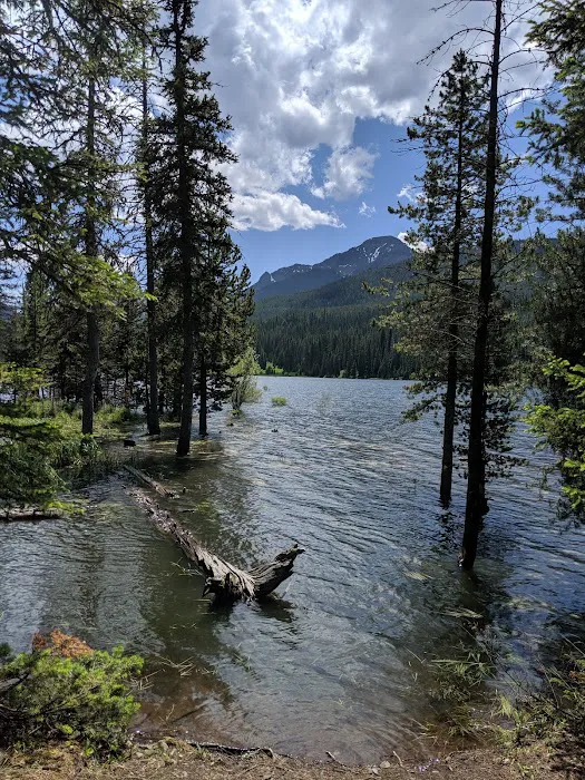 Chisholm Campground Picture 3